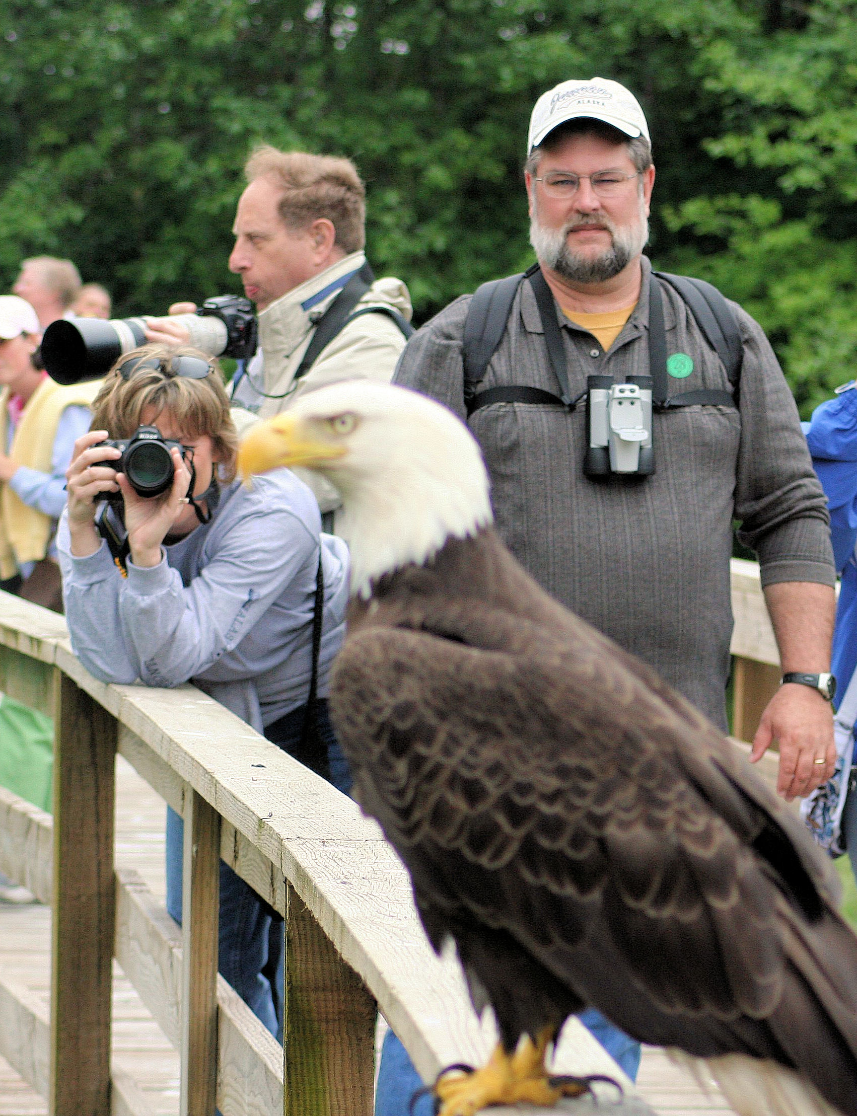 Rainforest Wildlife Sanctuary, Eagles, & Totems